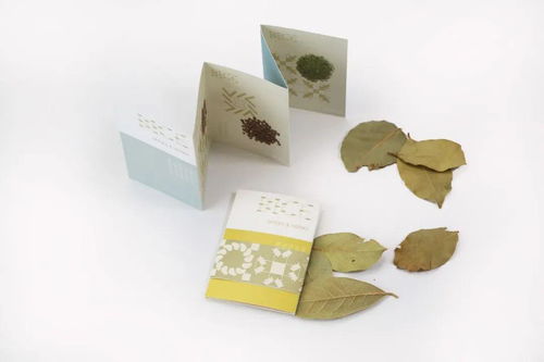 日用時尚產品包裝設計新趨勢 深圳彌高創(chuàng)意設計的文化藝術咨詢服務分享